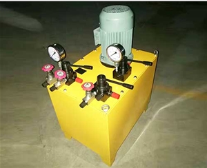 广东非标电动泵生产