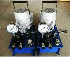 广东标准电动泵供应价格