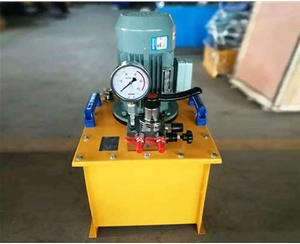 广东标准电动泵生产厂家供应